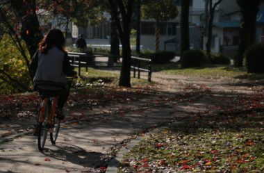 Obesidade: Causas, Sintomas e Tratamentos